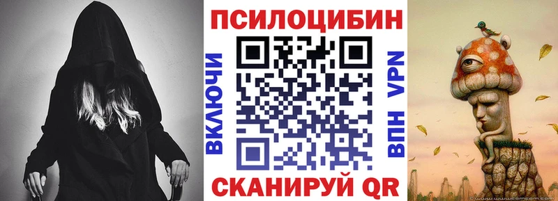 Псилоцибиновые грибы Psilocybe Иланский